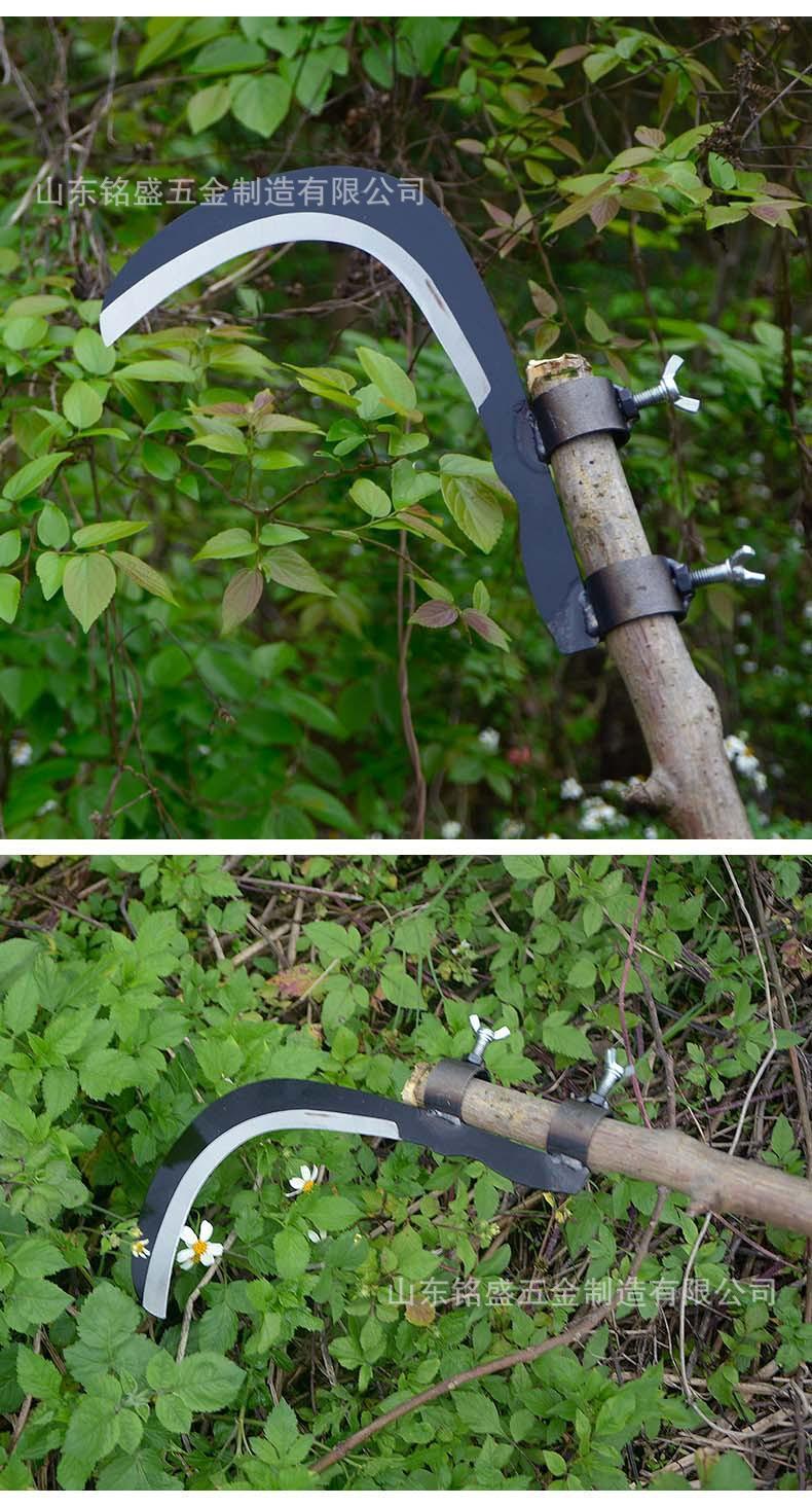 详情-6.jpg?x-oss-process=image/format,png