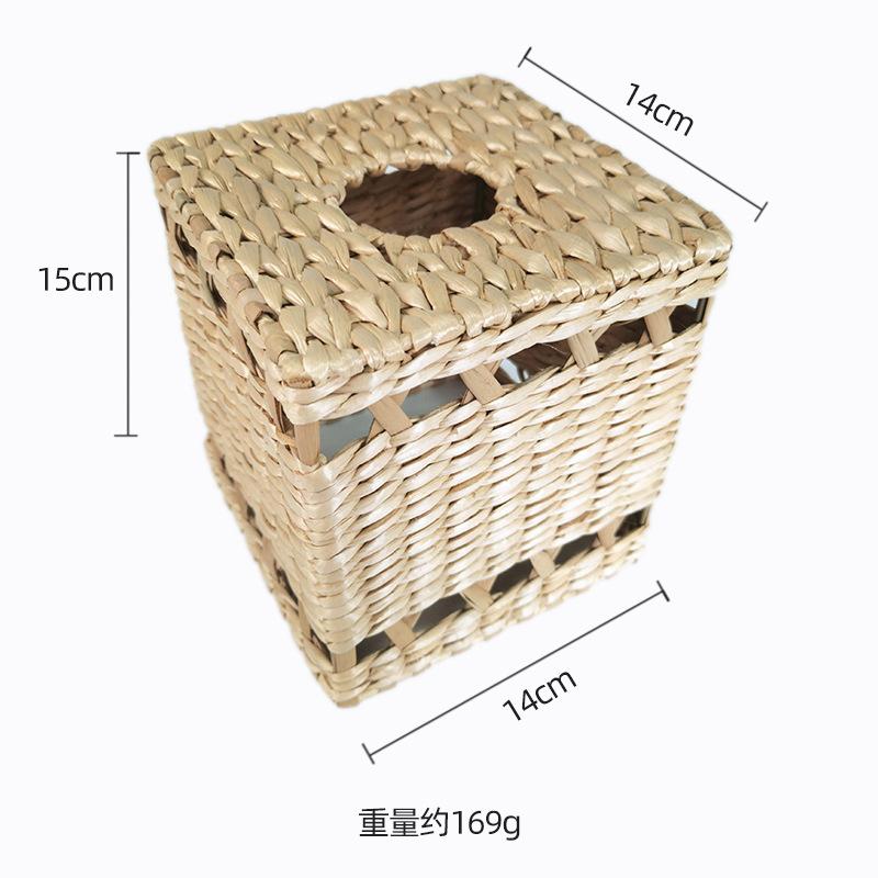 蒲草.jpg