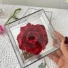 Flor Preservada Flor Peonía Flor Caja de Acrílico con Espejo Individual Acabado de Alta Gama Regalo para el Día de San Valentín Venta al por Mayor Transfronteriza