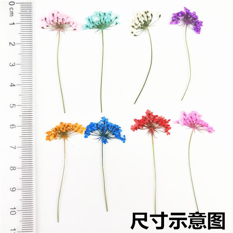 IMG20190221152450
