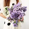 Directamente de Yunnan Nomeolvides Gypsophila Flores Reales Semisecas Secadas al Aire Naturalmente Flores Conservadas Regalo Adorno para Sala de Estar Mesa de Comedor