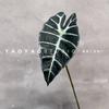 Ramo único folha de taro de pavão preto planta tropical artificial arranjo de flores parede de plantas paisagem verdejante Gota Guanyinlian