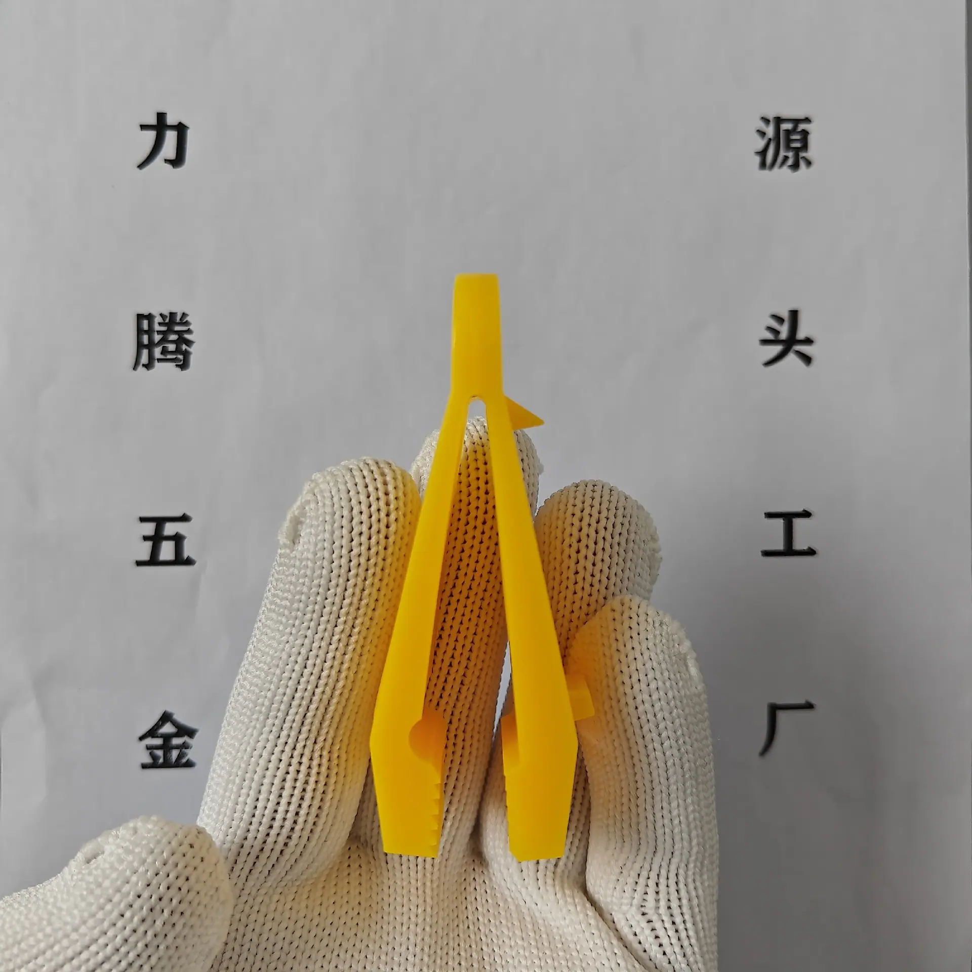 IMG20230502135515.jpg