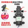 Colección Completa de Accesorios para Pulverizador Eléctrico para Agricultura, Bomba de Agua 12V, Batería de Litio, Cargador de Batería, Boquilla de Pulverizador de Alta Presión