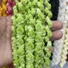 Pó de Concha Prensado 12mm Flor de Camélia Contas Soltas DIY Acessórios de Roupa Artesanato Pulseiras Colares Acessórios para Mãos Atacado