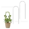 Estructura trepadora para plantas de soporte en maceta transfronteriza, longitud de 35 cm a 40 cm