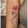 Pegatinas de Tatuaje Nuevas Transfronterizas con Alto Atractivo Estético, Impermeables y de Larga Duración, Pegatinas de Tatuaje Temporales para Brazos Sexys