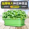 Macetas engrosadas y profundizadas para cultivar verduras, macetas rectangulares de plástico para balcón interior al por mayor, artefactos domésticos para el cultivo de verduras