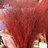 100 Piezas de Flores Secas Rosas, Hierba Cola de Zorro Rosa, Fondo de Boda, Adornos de Decoración para el Hogar, Ramo de Flores Brumosas
