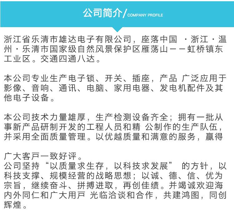 乐清市雄达电子有限公司模板_06