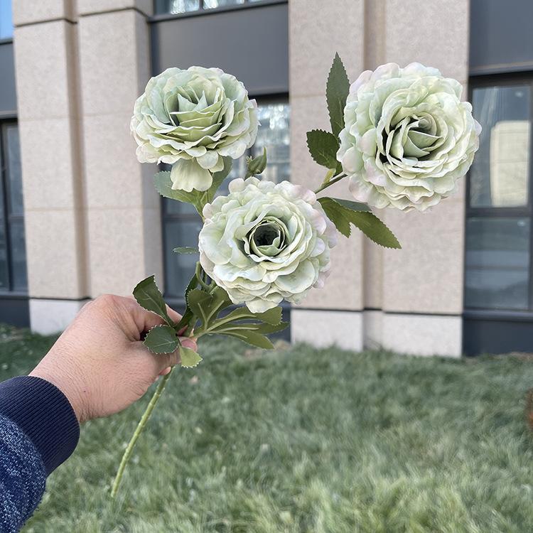 3头意式油画大玫瑰-sxychx-秋绿.JPG