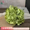 Flor de Simulación Transfronteriza 5 Cabezas Hortensia Boda Francesa Hortensia Grande Bola de Flores Decorativa Tienda Ventana Apertura Festival de Bodas Flor Artificial