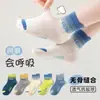 Calcetines para Niños Primavera y Verano Estilo Delgado Algodón Clase A Niños Estudiante Letra Malla Sin Costuras Media Pantorrilla Calcetines Deportivos Absorbentes de Sudor Anti-Olor