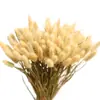 Buquê de Grama de Cauda de Coelho Seca Real Decoração de Casa Ins Decoração de Janela Arranjo de Flores DIY Atacado Buquê de Flores Secas Artesanal