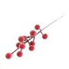 Frutas Artificiais de Natal Doze Frutas Fruta da Fortuna Suprimentos para Decoração de Natal Espuma Semelhante a Vidro Recortes de Frutas Vermelhas Decorações