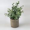 Combinação de venda imperdível da Amazon transfronteiriça Simulação de planta em vaso estilo nórdico mobiliário doméstico Desktop Mini Planta Verde Bonsai
