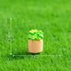 Micro Paisagem Desenho Animado Criativo Leitura e Rega de Flores Cachorro Boneca Casa de Boneca DIY Decoração Acessórios Mini Pequenos Enfeites