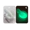 Internet Red 6 Colores Luminoso Nail Art Glitter Fiesta de Club Nocturno Color Luminoso Polvo de Azúcar Nail Art Polvo Luminoso para Tienda de Nail Art