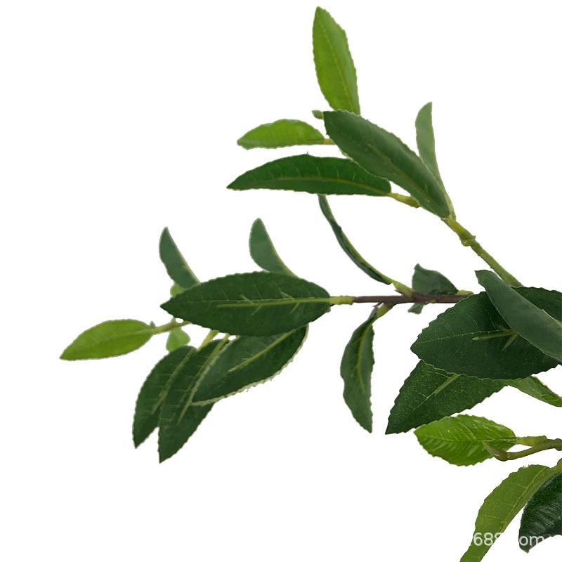 XRB-130 单枝大白茶叶4.jpg