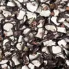 Castañas de Agua Secas, Castañas de Agua Secas, Castañas de Agua en Rodajas, Castañas de Agua en Cubos, Castañas de Agua Peladas con Piel, Castañas de Agua, Materiales Medicinales Chinos, Té de Frutas