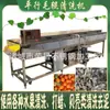 Máquina Limpiadora Automática Paralela de Rodillos, Equipo de Limpieza y Eliminación de Lodo para Mariscos y Moluscos, Máquina Peladora y Limpiadora de Frutas y Verduras