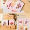 Tarjeta de Felicitación Completa Mini Tarjeta de Felicitación Tarjeta de Mensaje Simple Dibujo Animado Lindo Bendición para el Día del Maestro Tarjeta de Felicitación con Flores Secas