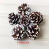 Pino Americano Pino de Pitch Pino Local Pino Abeto Polen de Pino Alerce Decoración Navideña Piña Flor Seca Decoración DIY