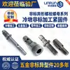 Tornillos Especiales de Forma Personalizada, Piezas Especiales de Forma No Estándar, Pernos de Ferretería Estampados en Frío y Forjados en Caliente, Tornillos Roscados Procesados en Torno CNC