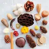 Pinha de fruta seca semente de bolota espécime planta decorativa fruta flor seca feita à mão material diy jardim de infância natural