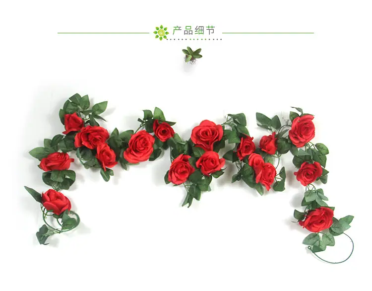 没参数详情_05