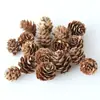 Casca de fruta faça você mesmo, pinha, lascas de madeira, folhas, flores secas, combinação de frutas secas, decoração de natal, decoração de jardim de infância, adereços retrô
