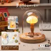 Luz de Noche de Gelatina de Concha de Erizo de Mar Natural Kit de Materiales Hechos a Mano para Bricolaje Adorno Decorativo Regalo para Niños y Novias
