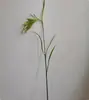 Espigas de Arroz Híbrido: Modelo de Planta de Espiga de Trigo Artificial, Modelo de Campo de Arroz con Espigas de Cebada