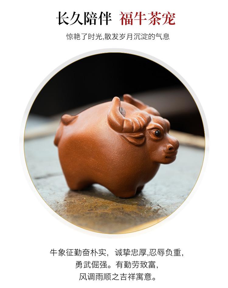 福牛茶宠20210104 (4).jpg