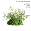 Materiais de Plantas Verdes Artificiais para Decoração e Paisagismo, Decoração Interna Suave, Material de Flor Única, Planta Pequena de Samambaia, Ramo de Grama, Verdejamento de Micro Paisagem