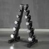 Fábrica Fonte Halteres Galvanizados 1-10kg Aço Puro Sólido Halteres para Homens e Mulheres Treino de Fitness Equipamento Comercial Doméstico