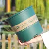 Adecuado para Maceta Plástico 2024 Resina Suculenta Chlorophytum Rosa Galón en Maceta Engrosada Transpirable Balcón Duradero Plantación