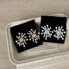 Aretes de Fuegos Artificiales de Perla de Zircón Super Brillantes para Mujer, Lujo Accesible, Gama Alta, Únicos, Exquisitos, Modernos y de Moda