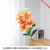 Flores de Lírio de Madeira com Pétalas Grandes São Exibidas na Sala de Estar com Vários Arranjos Florais Combinados com Peças Decorativas Suaves e Arranjos Florais em Vasos na Entrada