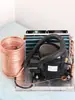 Enfriador pequeño Rainbow QD30W 220V refrigeración agua circulante compresor de microrefrigeración kit DIY