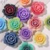 Sueño Color Arcoíris Azúcar Sentido Rosa Joyería Parche Aretes DIY Tocado Accesorios para el Cabello Zapatos con Agujeros Zapatos Accesorios de Flores