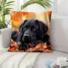 Amazon Cross-border Série de Animais de Estimação Capa de Almofada Casa Sofá Bordado Falso Pelúcia Curta Capa de Almofada Atacado