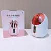 Novo Vaporizador Facial Doméstico Spray Duplo Quente e Frio Nano Spray Instrumento de Beleza Hidratante Máquina de Vaporizador de Beleza com Spray Quente e Frio