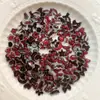 Accesorios para Uñas Artísticas de Camelia Mariposa Luna Color Vampiro de Venta Caliente en Vivo Decoraciones para Uñas Tulipán Corazón DIY