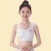Lingerie para Meninas em Fase de Desenvolvimento Pubertário, Sutiã Fino Fixo, Top Anti-Impacto, Sutiã para Aluna do Ensino Fundamental e Médio