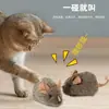 Juguete para perro pelota de tenis chillona botella duradera para morder molar autoentretenimiento interactivo alivio del aburrimiento juguete para gato juguete para perro juguete para mascota
