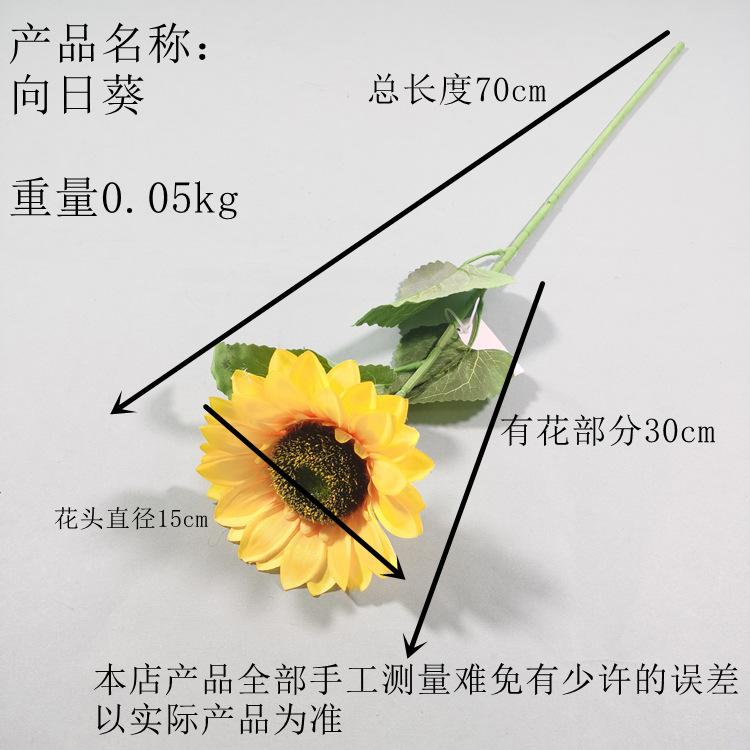 508fe1b5722434ef987ed64f1e1ae6