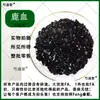 Sangre de Ciervo Sika de Jilin Auténtica Polvo de Sangre de Ciervo Seca Polvo de Sangre de Corazón de Ciervo Polvo de Cristal de Sangre de Ciervo Material para Elaboración de Vino Polvo de Sangre de Astas de Ciervo Completamente Seco