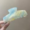 Horquilla de fantasía con ácido acético para mujer, estilo coreano de 2024, con forma de disco para la nuca, pinza para el pelo con temperamento de alta sensibilidad y pinza de tiburón que combina con todo.