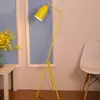 Venta Directa de Iluminación Zhongshan: Lámparas de Pie para Sala de Estar, Iluminación para Sofá y Oficina, Diseño Artístico Personalizado Creativo Minimalista Moderno de Gama Alta